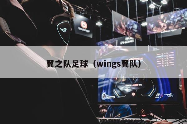 翼之队足球（wings翼队）