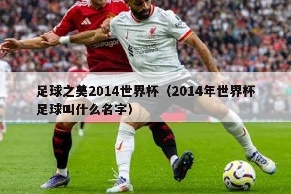 足球之美2014世界杯（2014年世界杯足球叫什么名字）