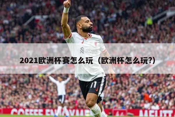 2021欧洲杯赛怎么玩（欧洲杯怎么玩?）