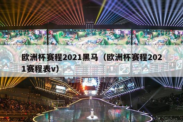 欧洲杯赛程2021黑马（欧洲杯赛程2021赛程表v）