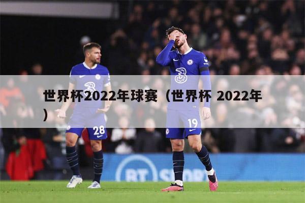 世界杯2022年球赛（世界杯 2022年）