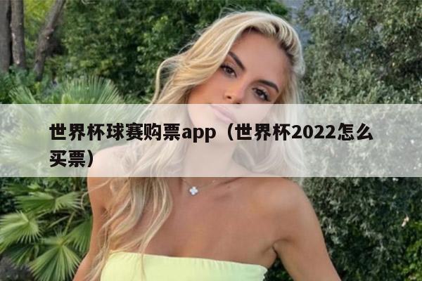 世界杯球赛购票app（世界杯2022怎么买票）