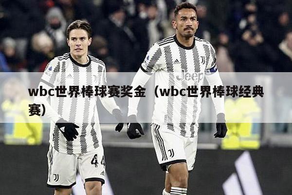 wbc世界棒球赛奖金（wbc世界棒球经典赛）