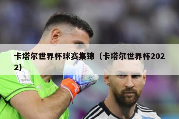 卡塔尔世界杯球赛集锦（卡塔尔世界杯2022）