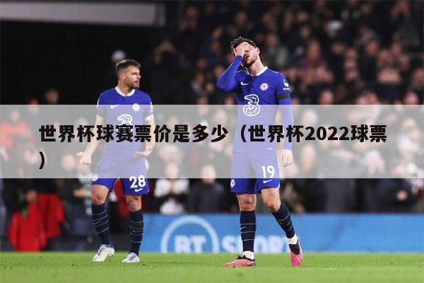 世界杯球赛票价是多少（世界杯2022球票）