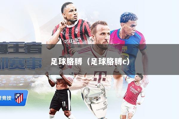 足球胳膊（足球胳膊c）