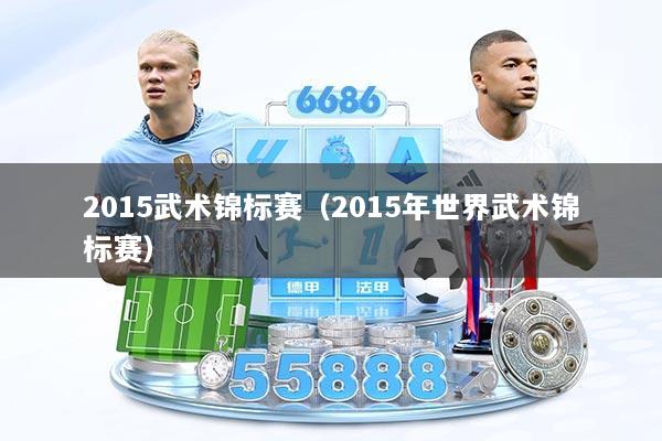 2015武术锦标赛（2015年世界武术锦标赛）